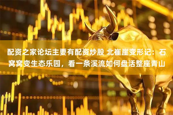 配资之家论坛主要有配资炒股 北崔崖变形记：石窝窝变生态乐园，看一条溪流如何盘活整座青山