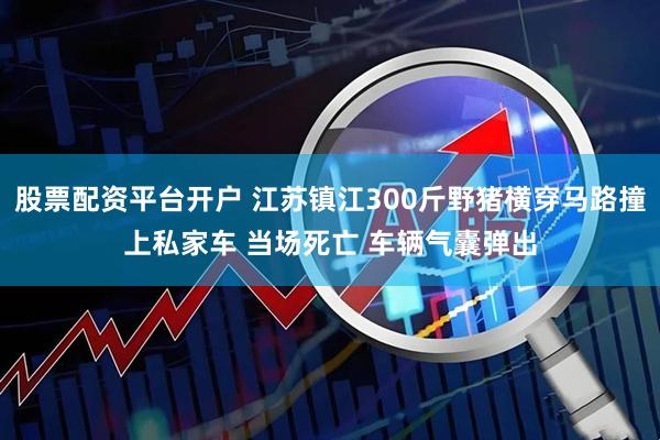 股票配资平台开户 江苏镇江300斤野猪横穿马路撞上私家车 当场死亡 车辆气囊弹出