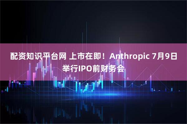 配资知识平台网 上市在即！Anthropic 7月9日举行IPO前财务会